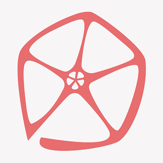 CONCEPTLAPSE_selfbranding_cartes de visite