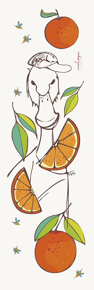 CONCEPTLAPSE_selfbranding_lettre type