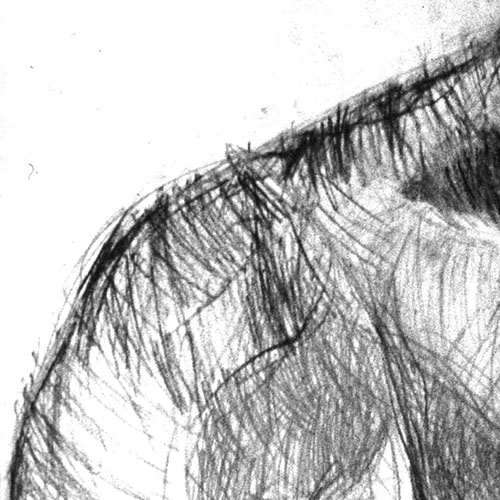 conceptlapse_dessins