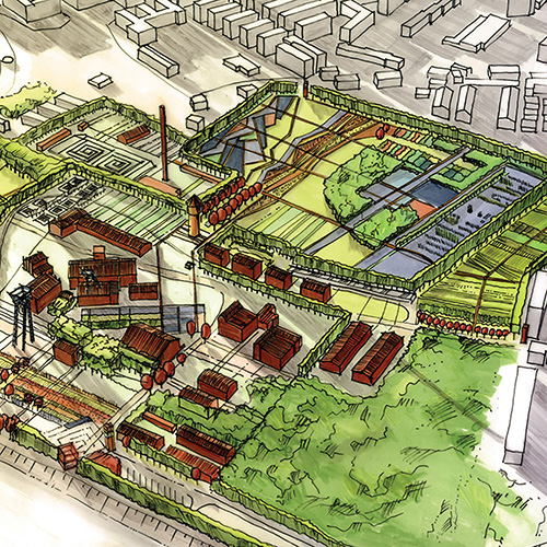 conceptlapse_illustrations