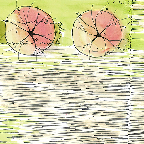 conceptlapse_illustrations