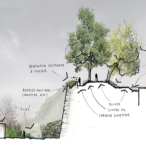 conceptlapse_illustrations